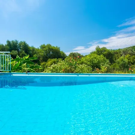 Peach Willa Kateleios